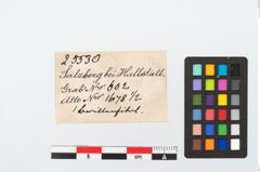 Etikett zu Bronzebrillenfibel (NHMW-PRAE-025530)